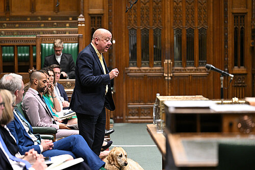 Steve Darling MP speaks in the House of Commons