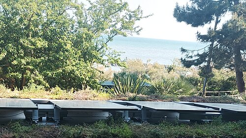 Solar panels on green Sedum roof.