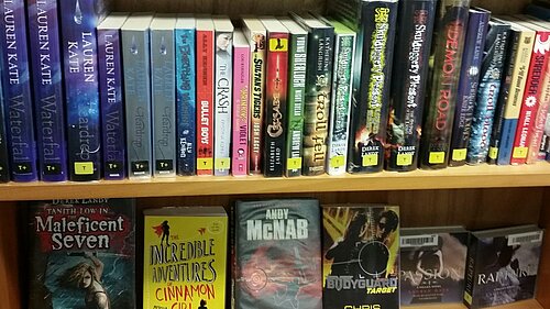 Library Books on shelves
