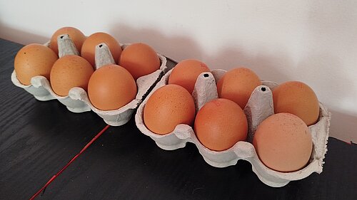 12 eggs in box